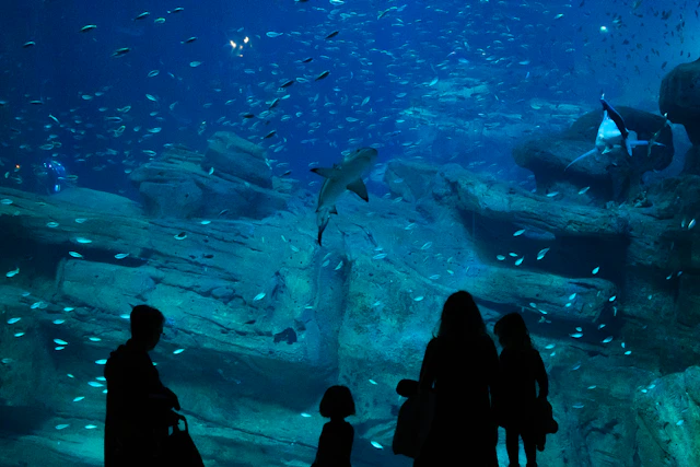 Aquarium de Paris ticket visit photo